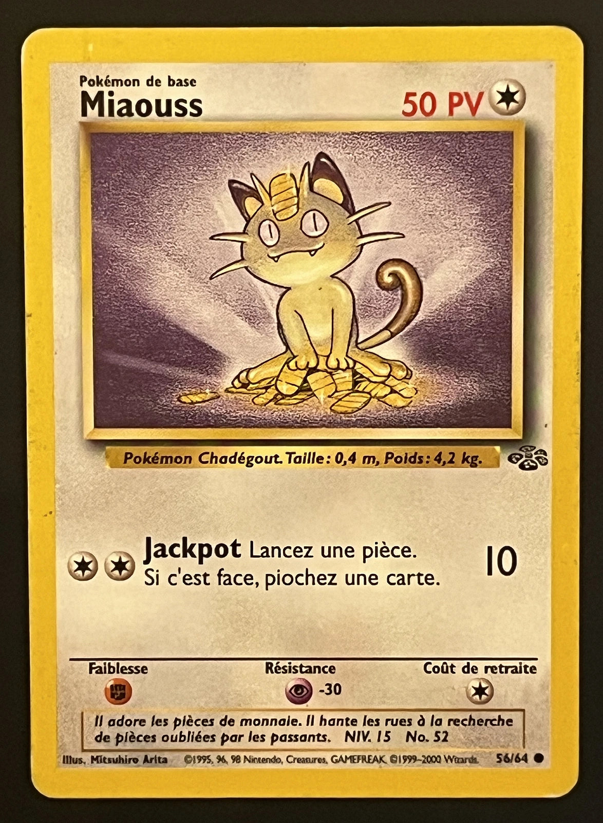 Miaouss 56/64