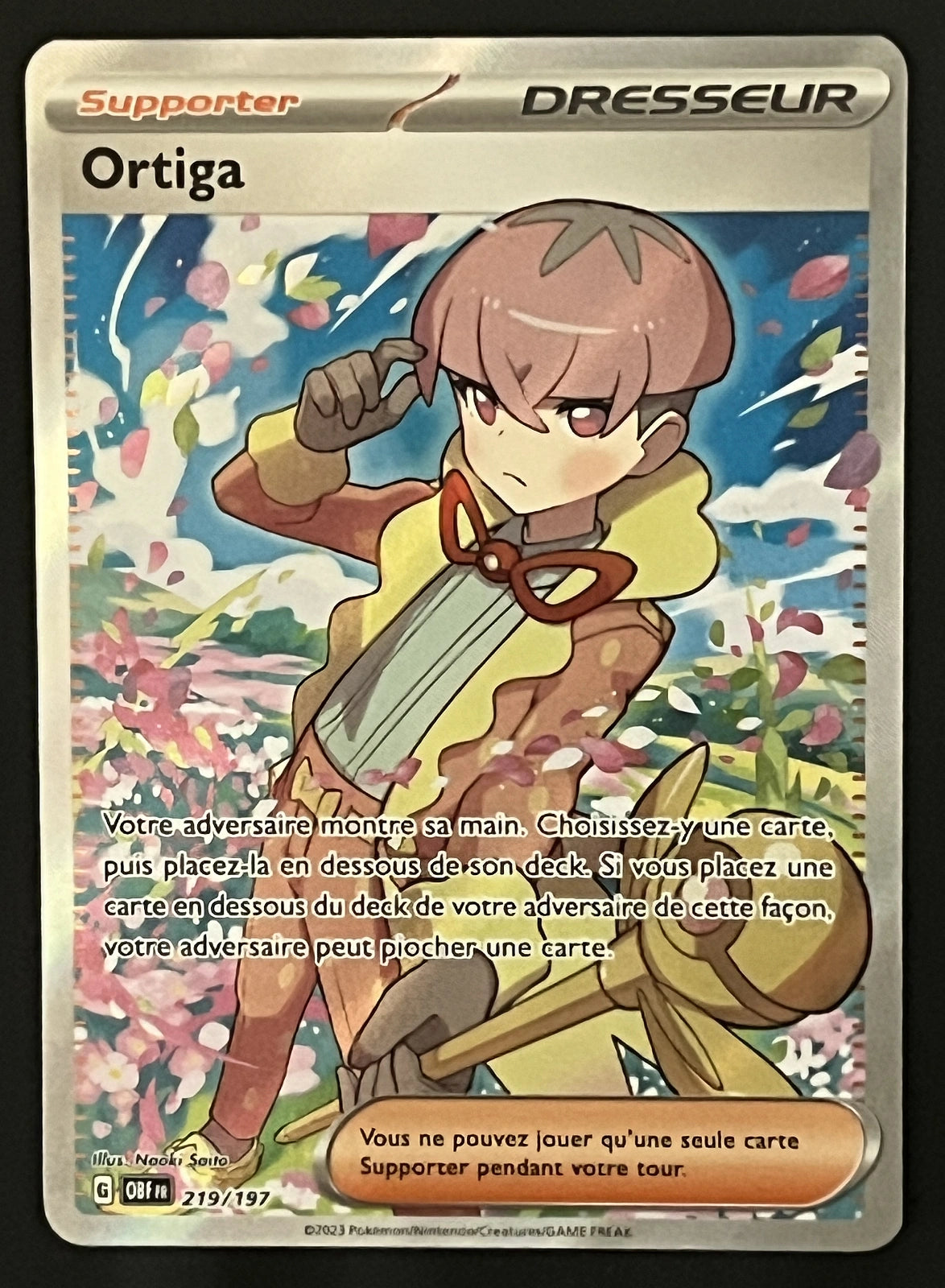 Ortiga 219/197