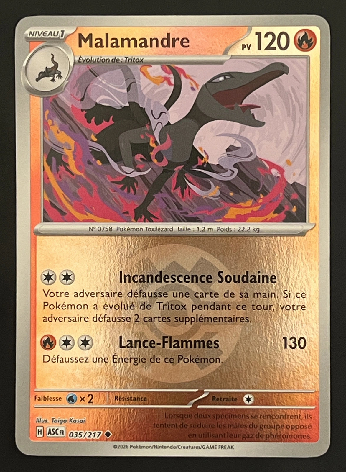 Malamandre 035/217