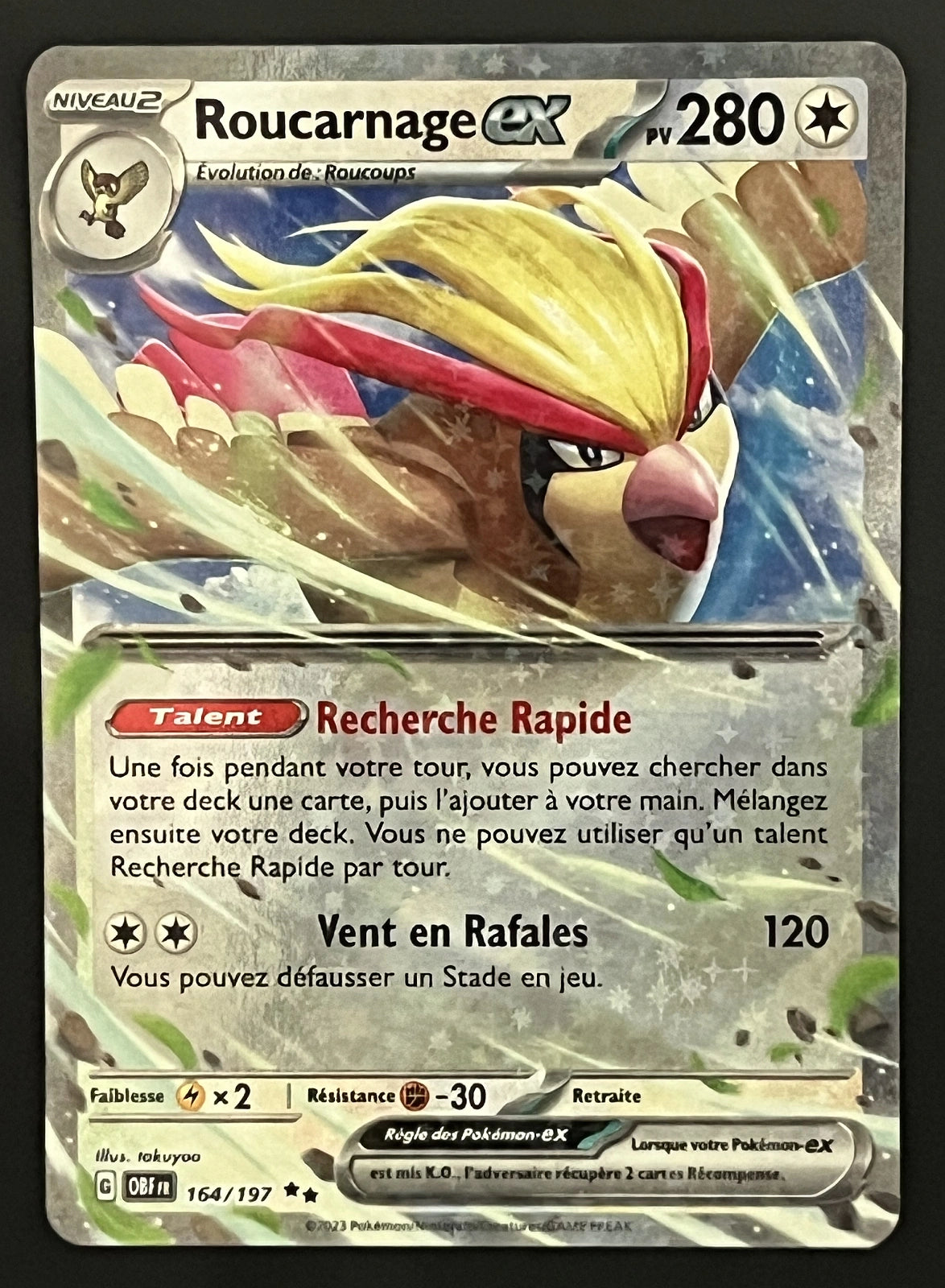 Roucarnage EX 164/197
