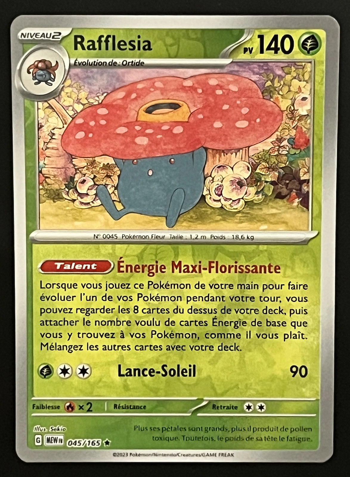 Rafflesia 045/165