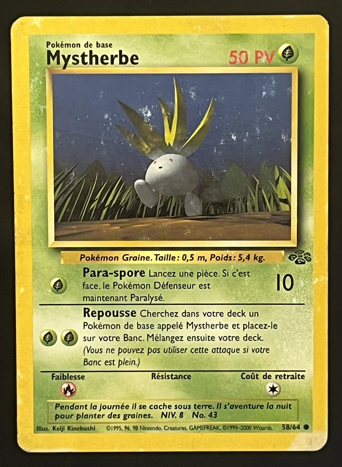 Mystherbe 58/64
