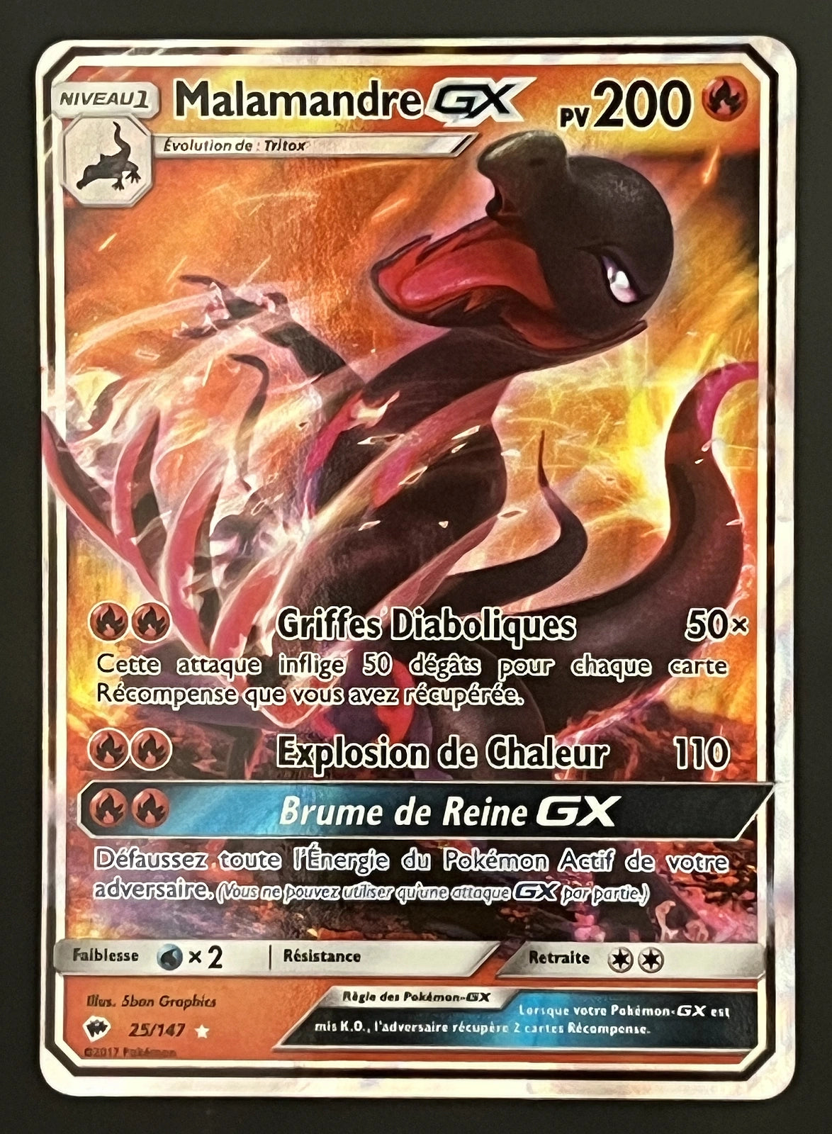 Malamandre GX 25/147