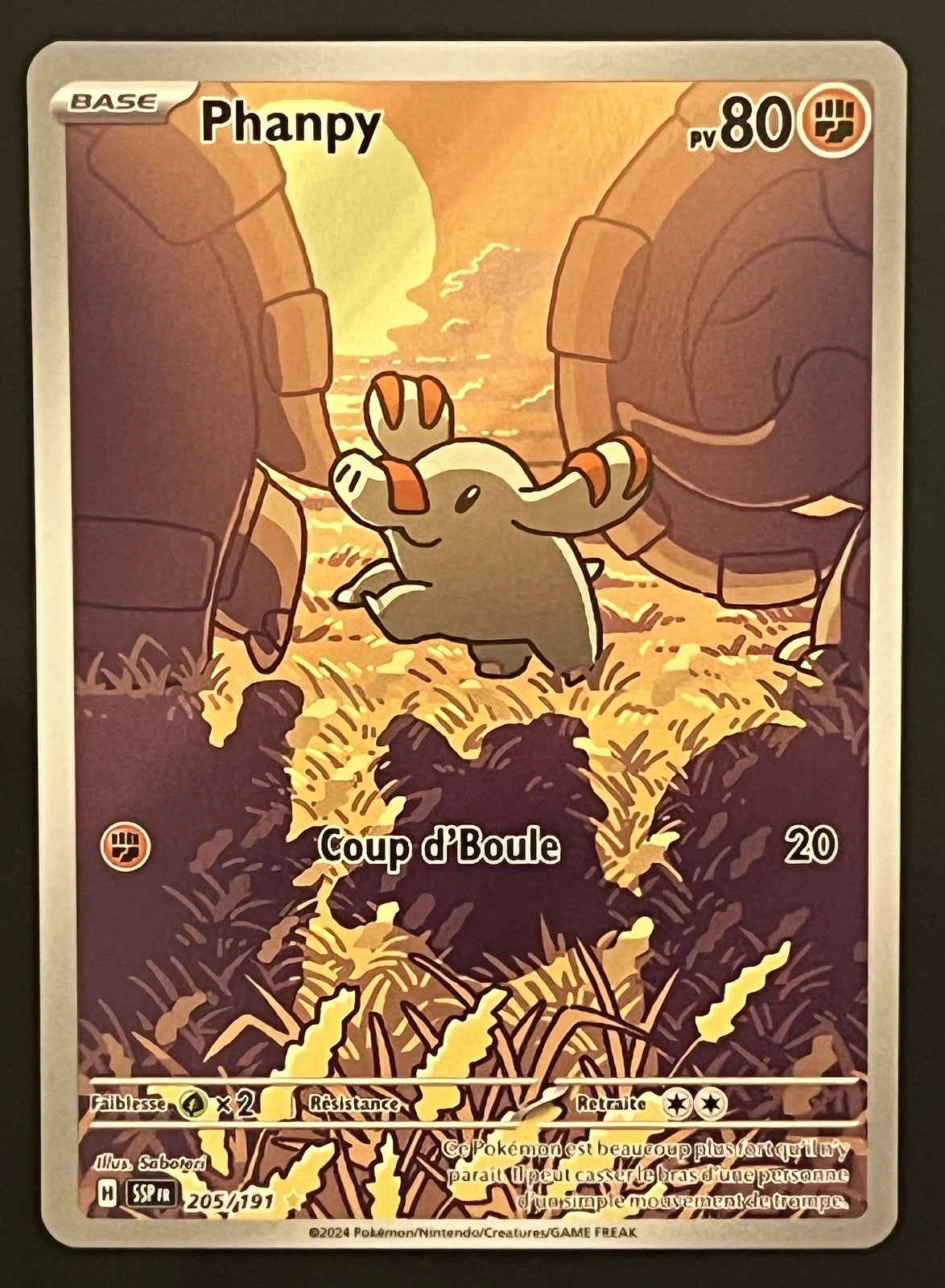 Phanpy 205/191