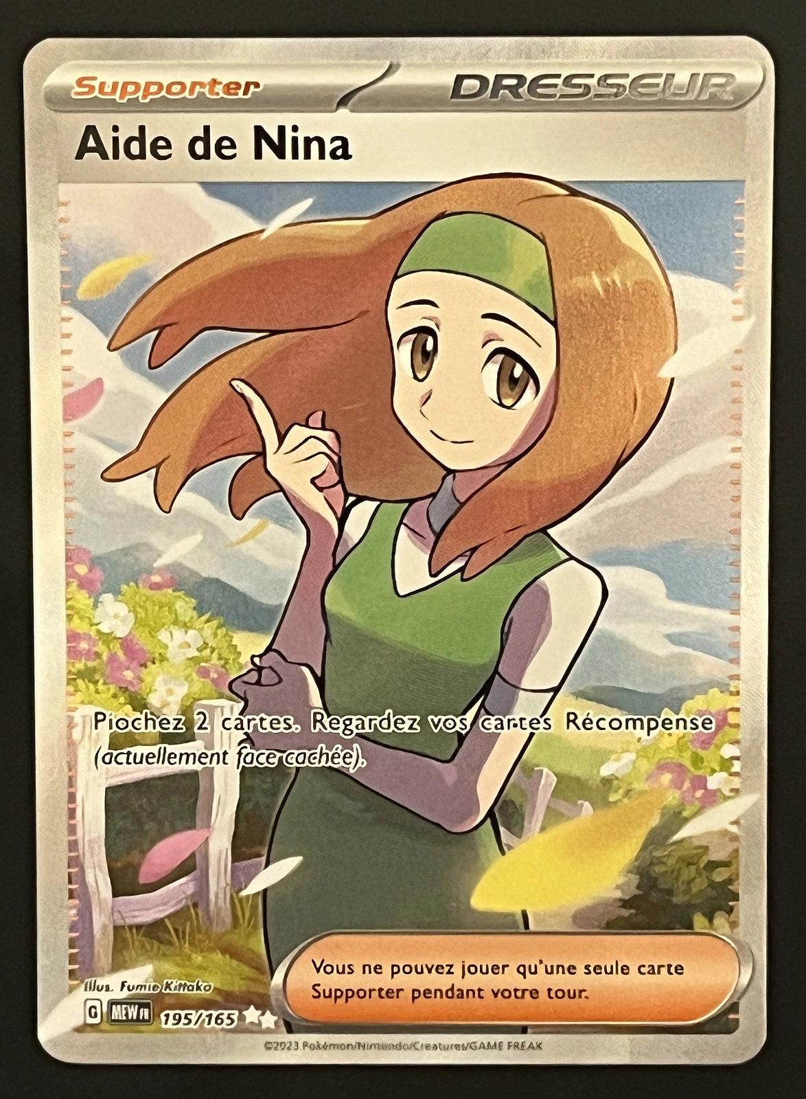 Aide de Nina 195/165