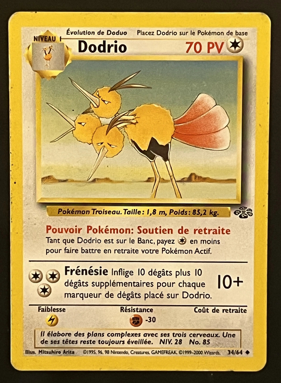 Dodrio 34/64