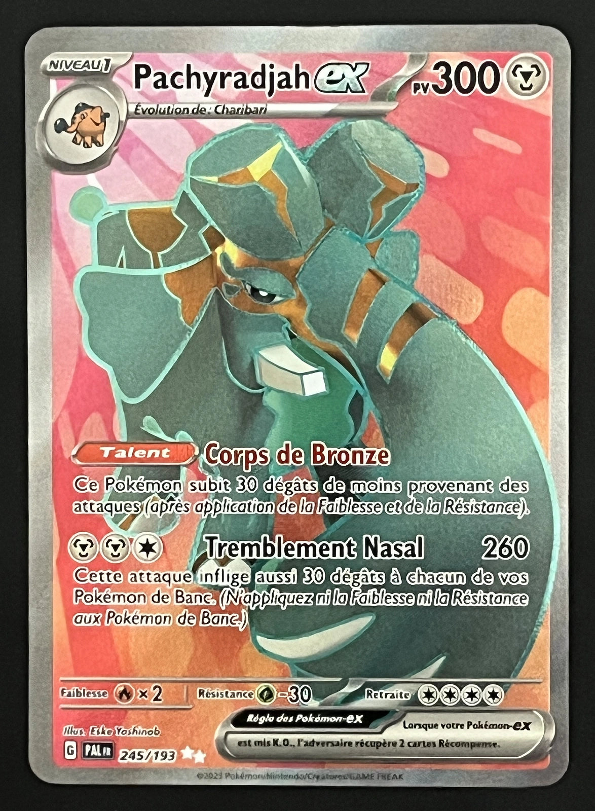 Pachyradjah EX 245/193