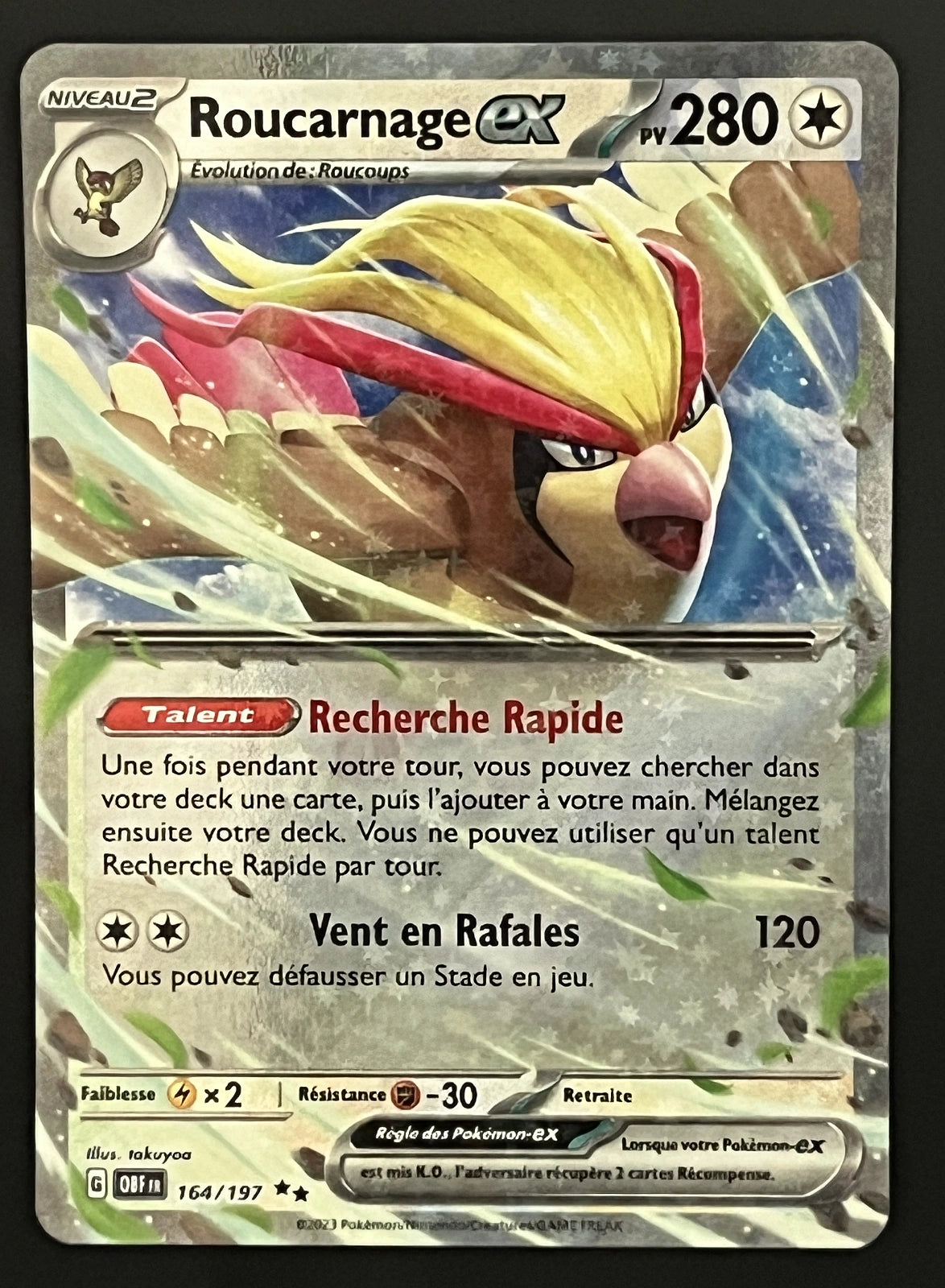 Roucarnage EX 164/197