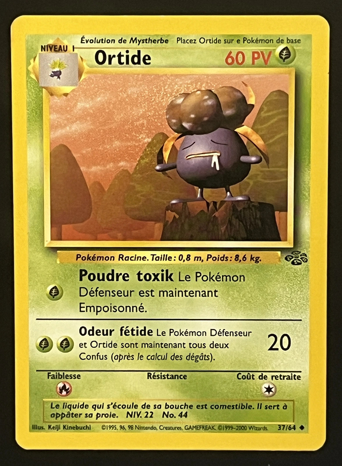 Ortide 37/64