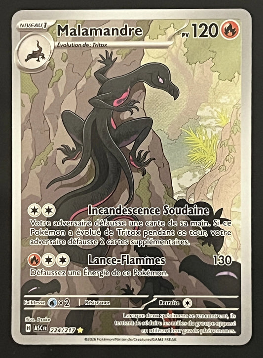 Malamandre 224/217