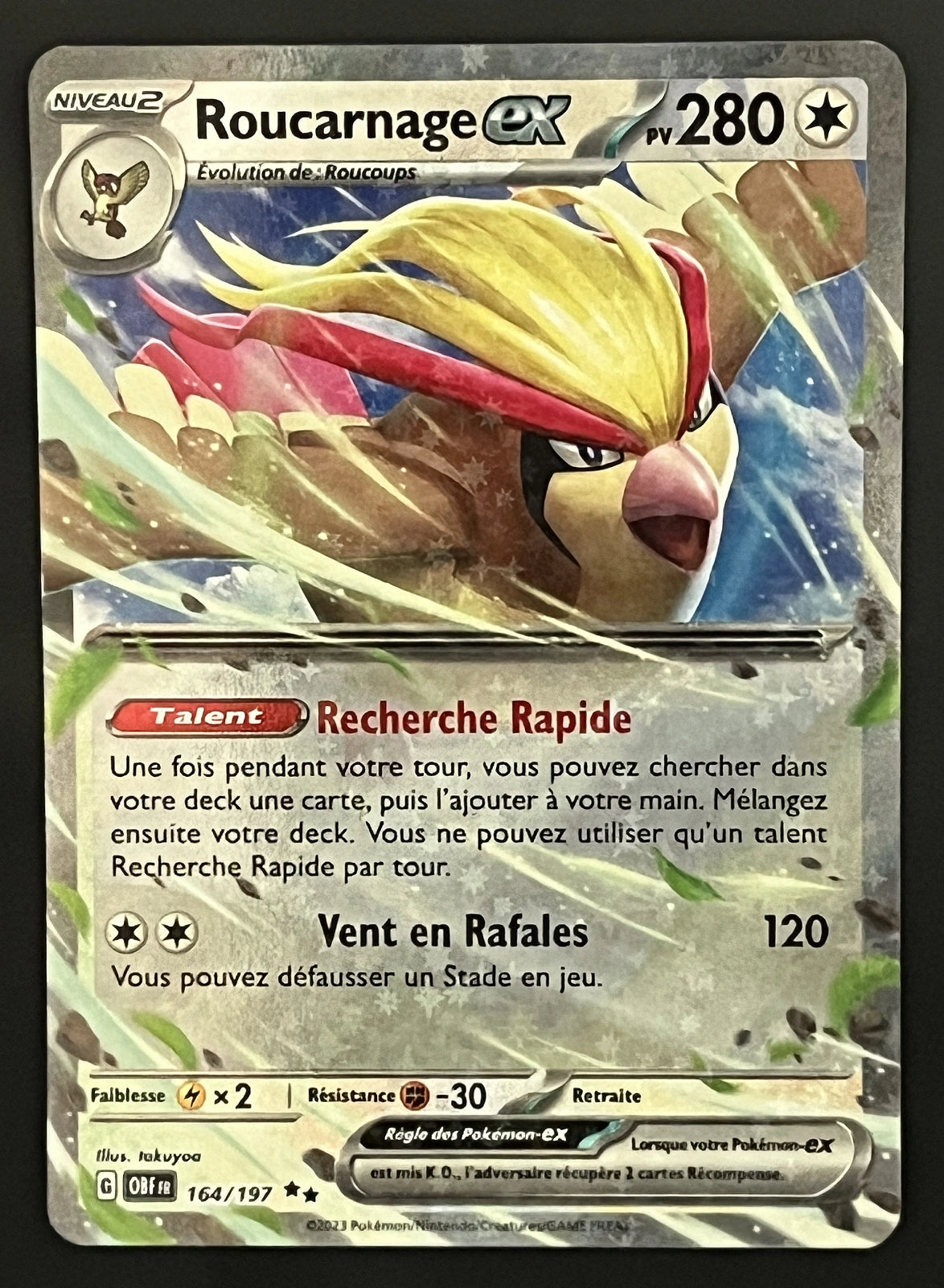 Roucarnage EX 164/197