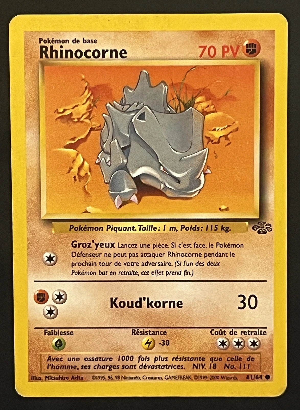 Rhinocorne 61/64