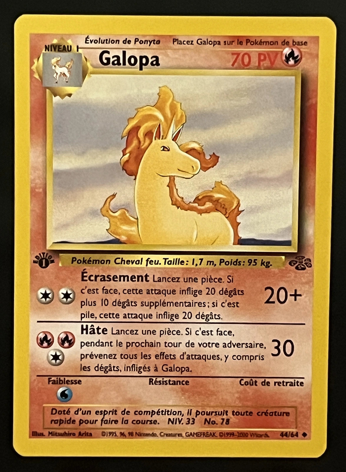 Galopa 44/64