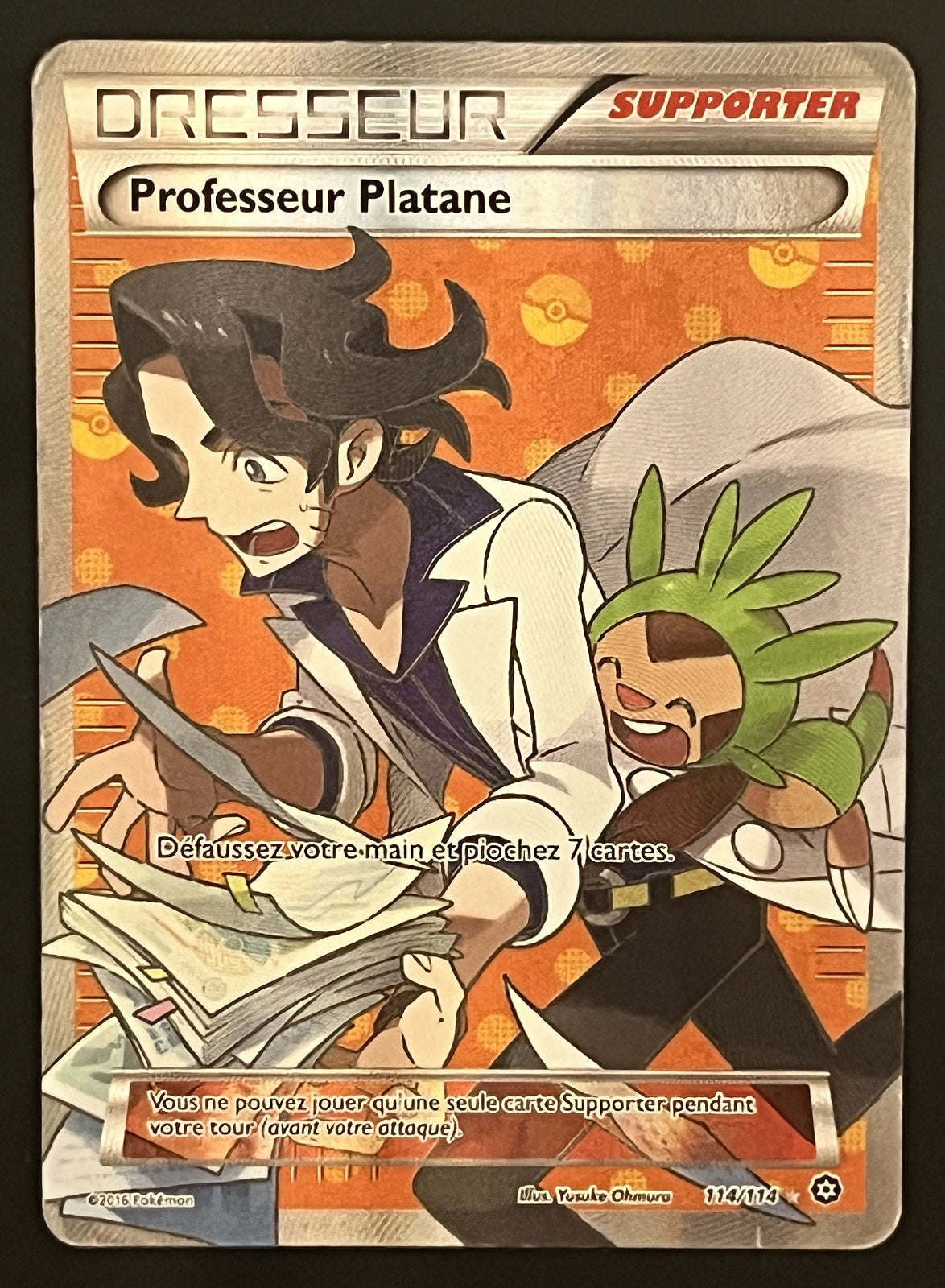 Professeur Platane 114/114