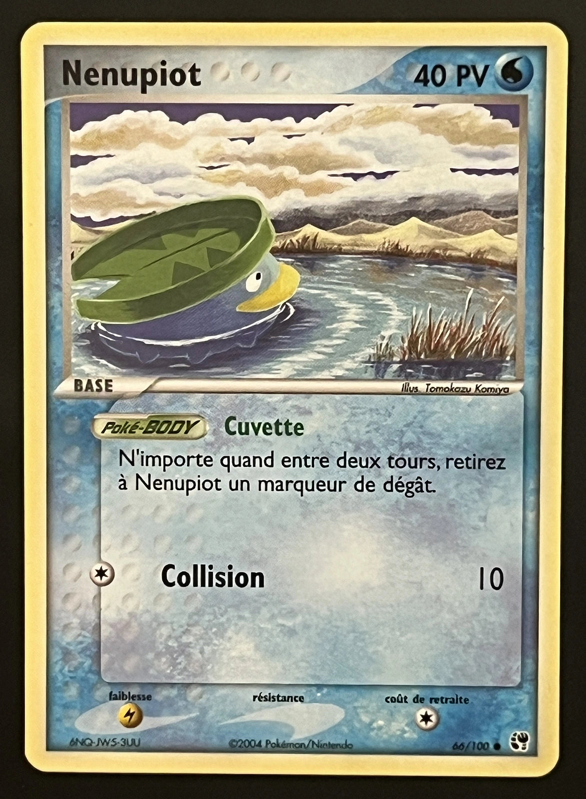 Nenupiot 66/100