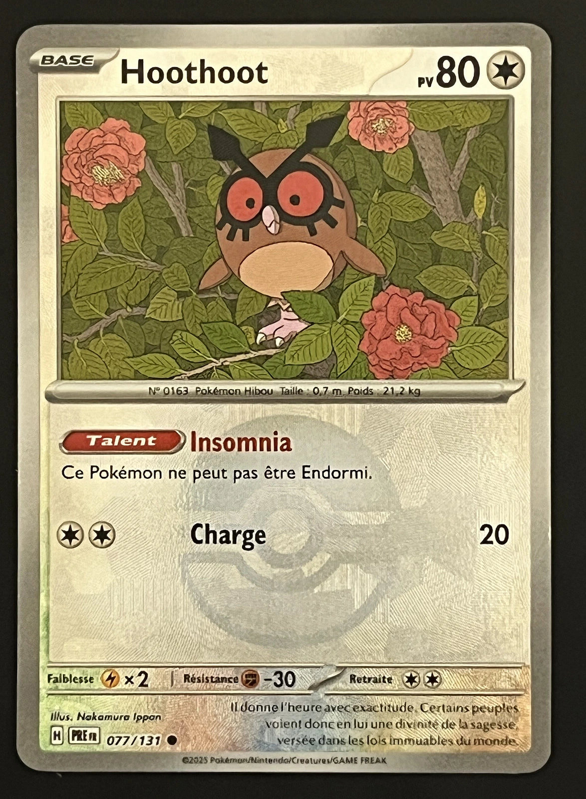 Hoothoot 077/131