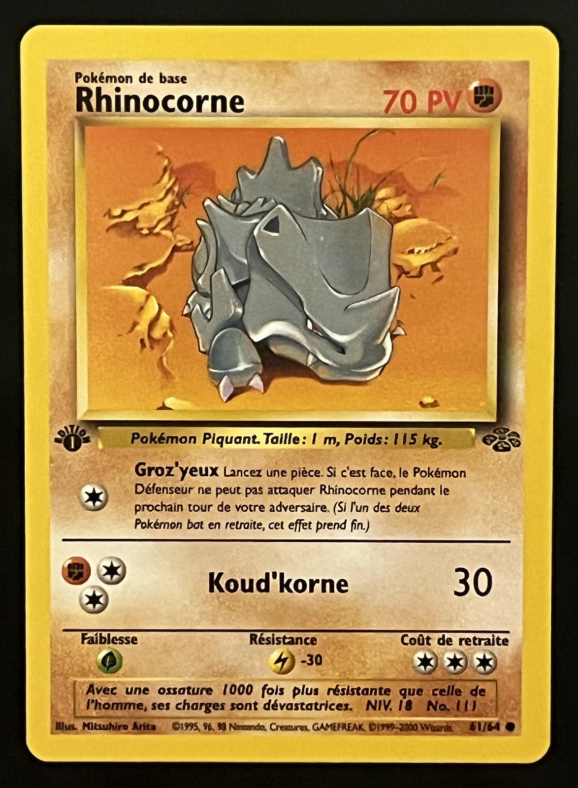 Rhinocorne 61/64
