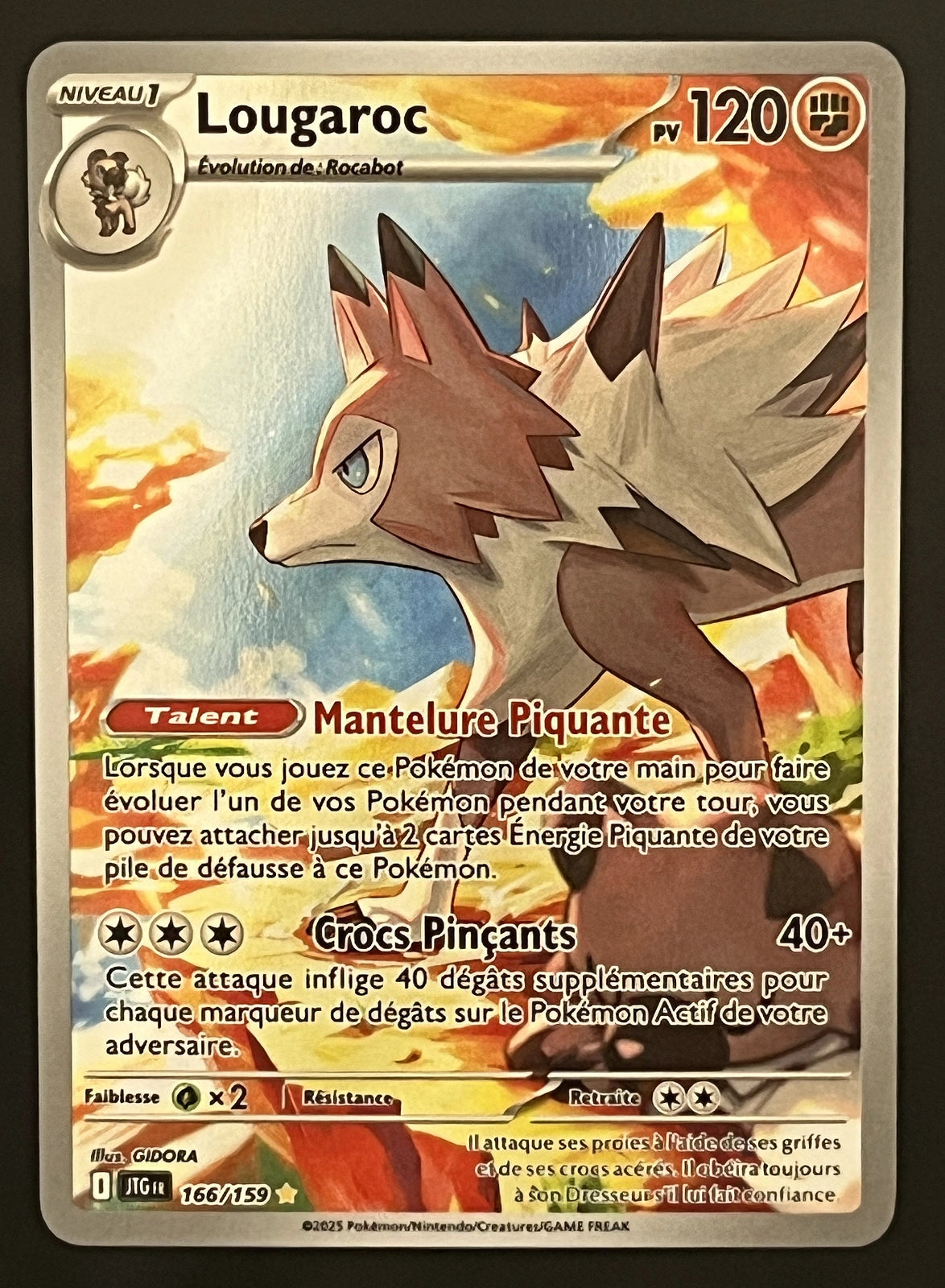 Lougaroc 166/159
