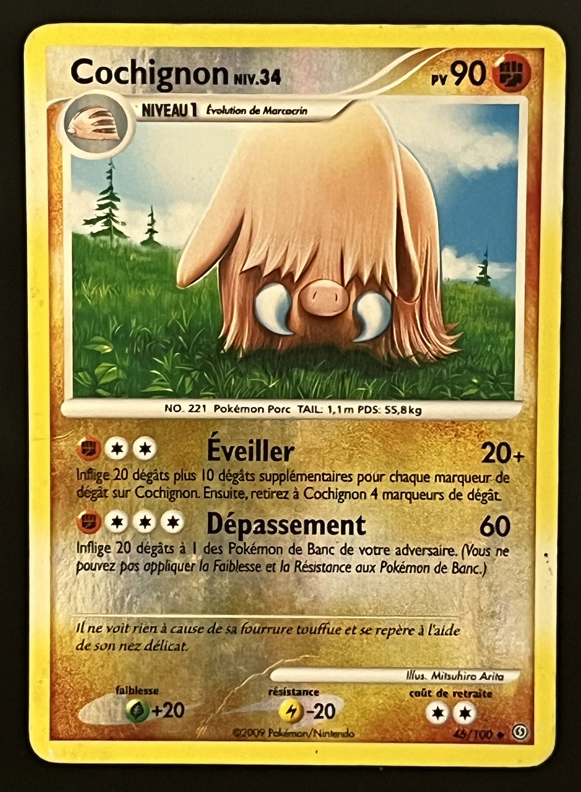 Cochignon 46/100