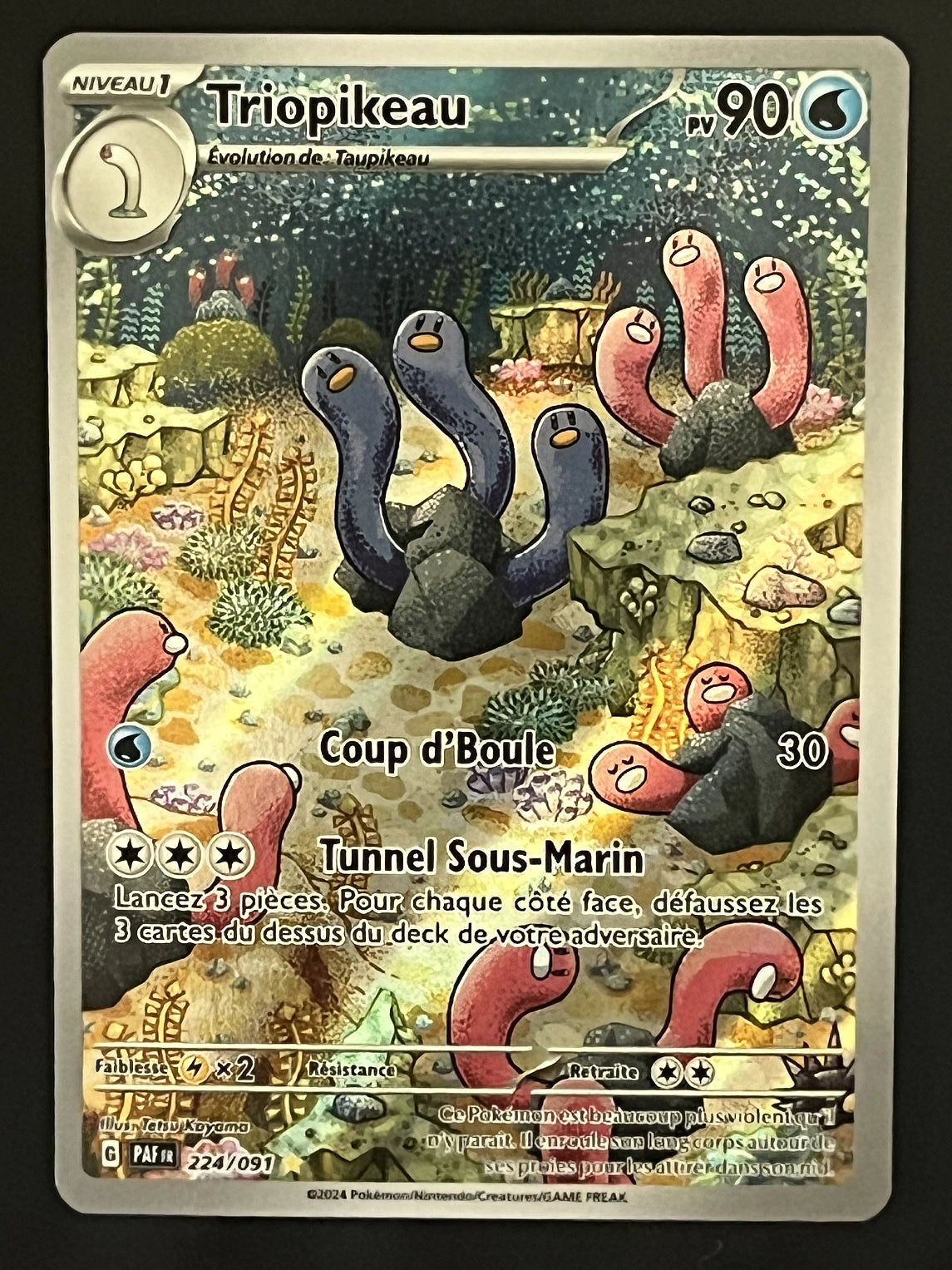 Triopikeau 224/091