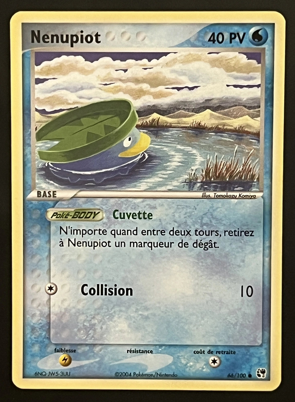 Nenupiot 66/100