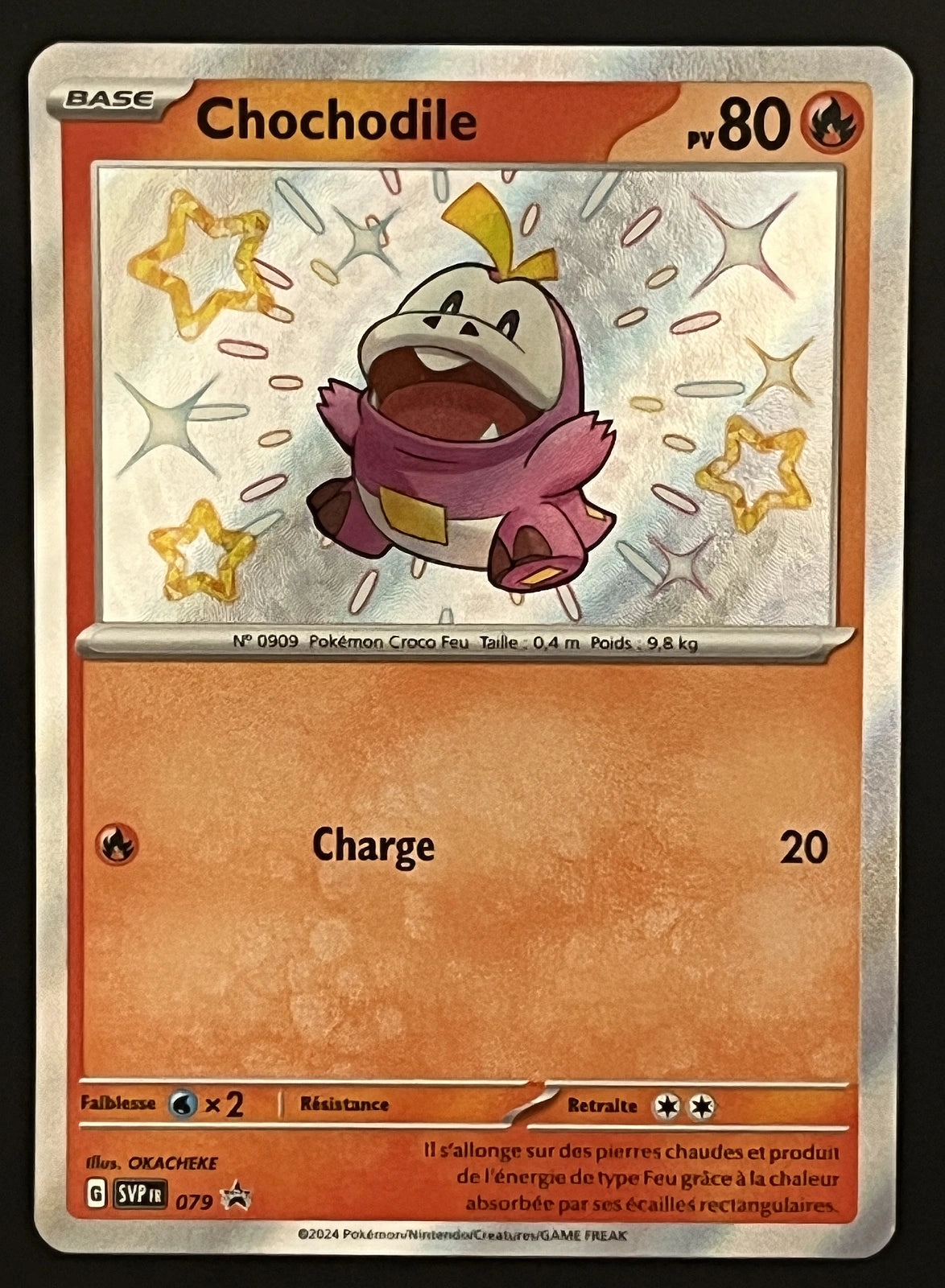 Chochodile SVP079