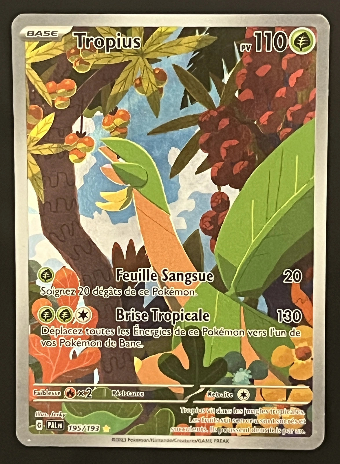 Tropius 195/193