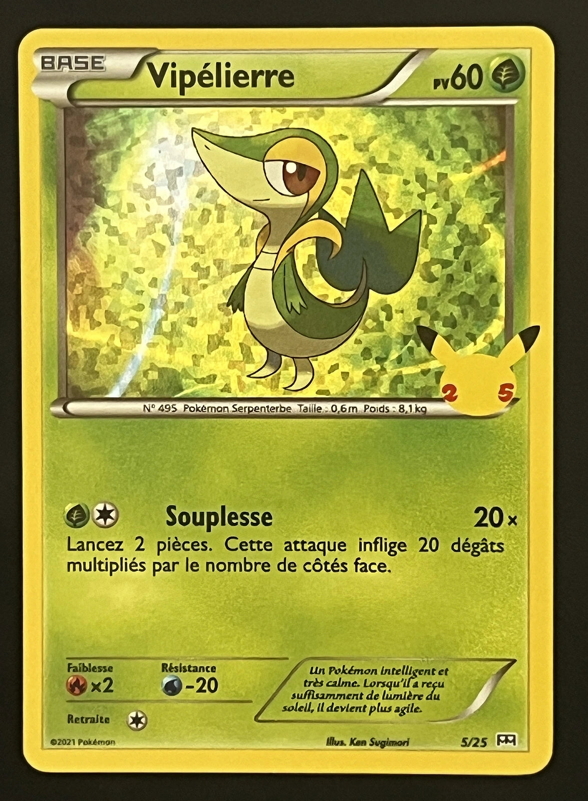 Vipélierre 5/25