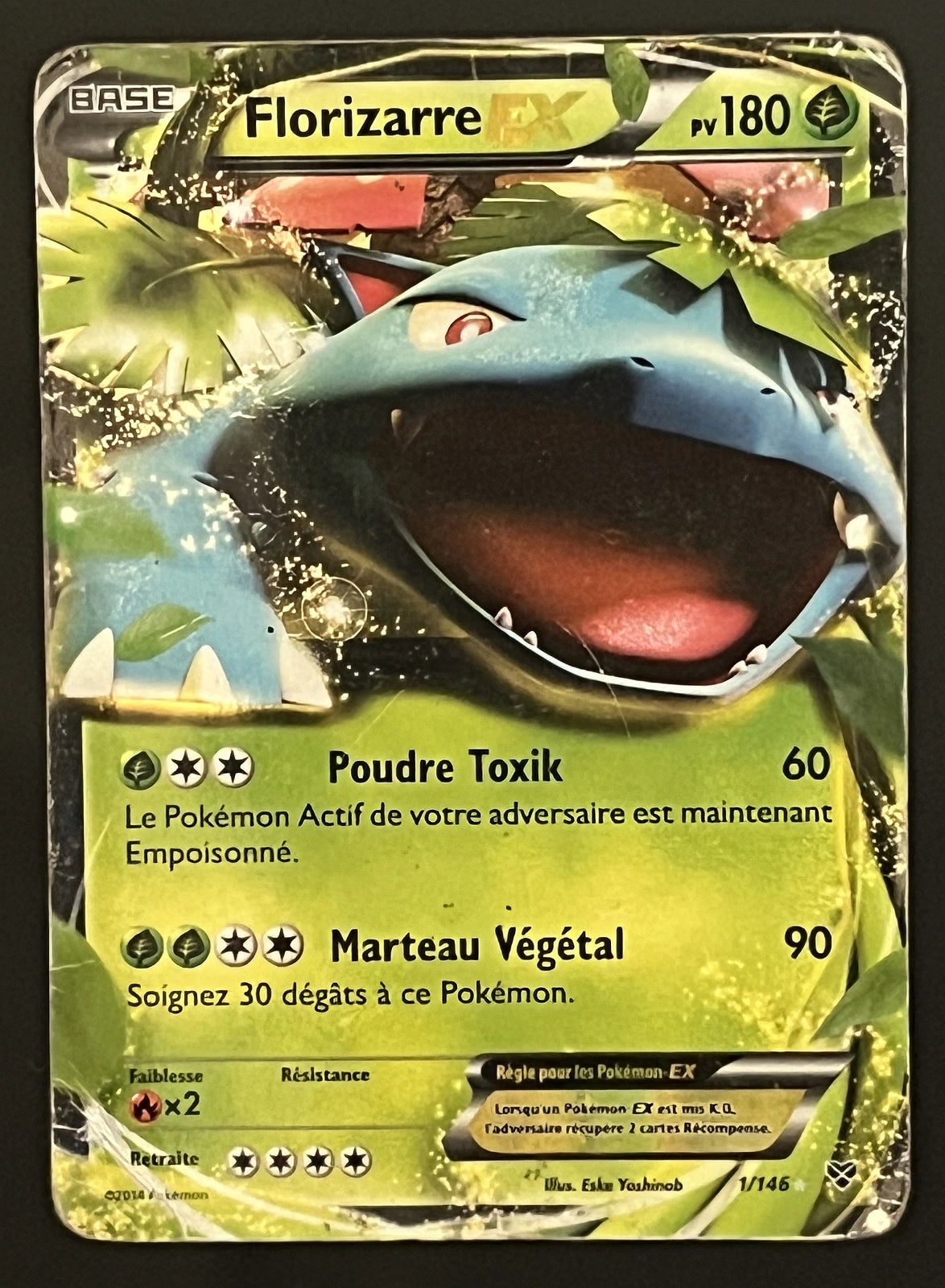 Florizarre EX 1/146
