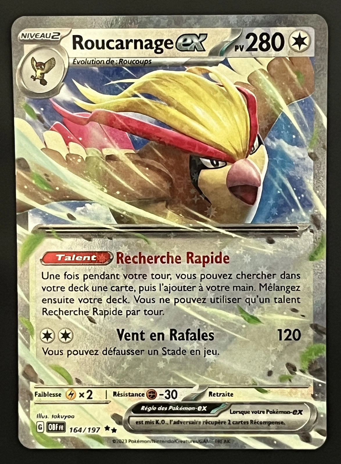 Roucarnage EX 164/197