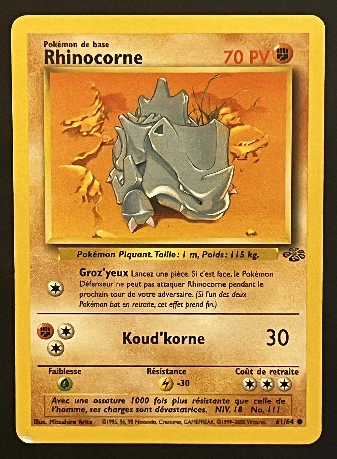 Rhinocorne 61/64