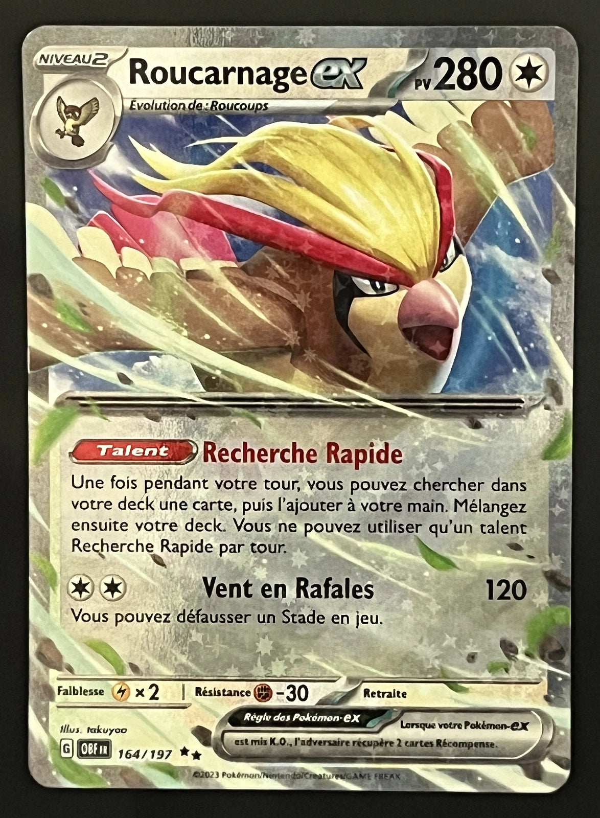 Roucarnage EX 164/197