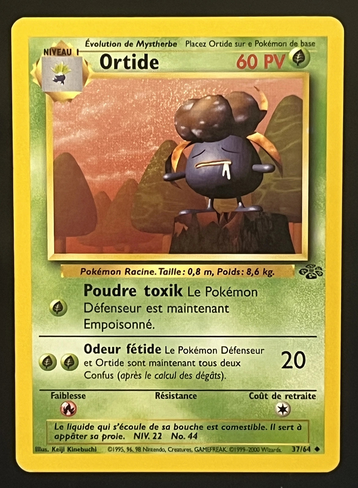 Ortide 37/64