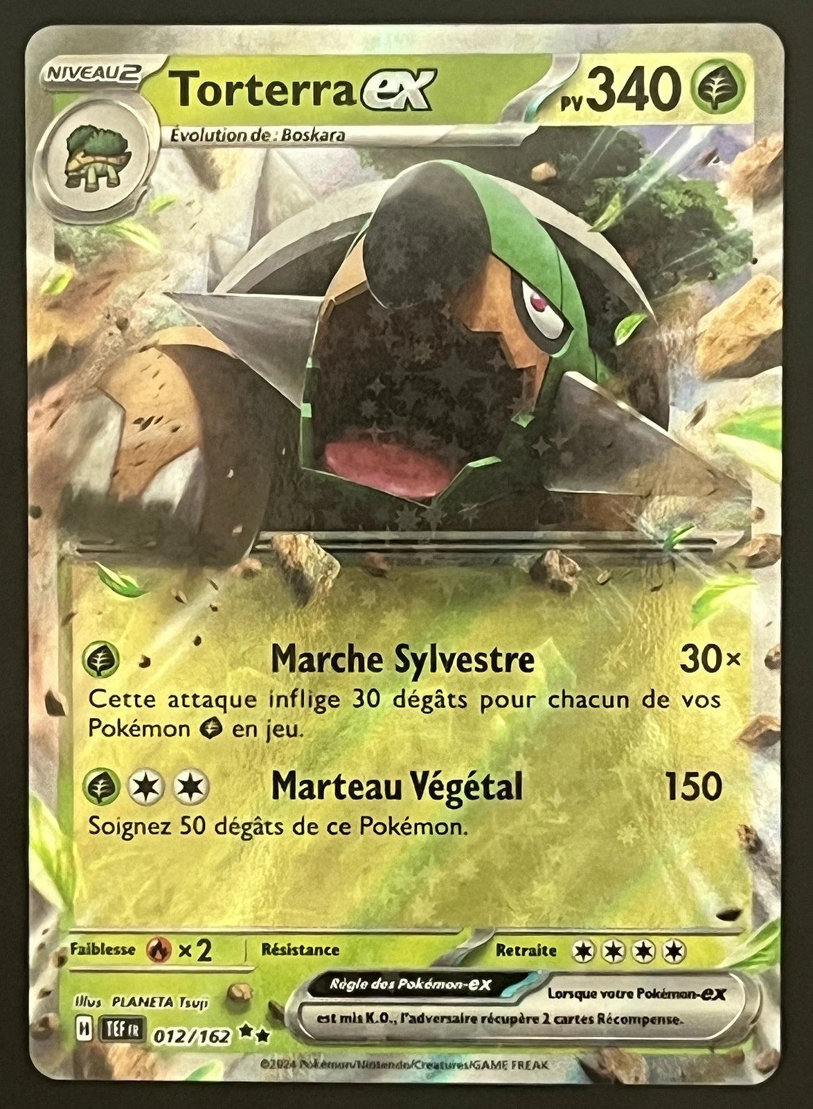 Torterra EX 012/162