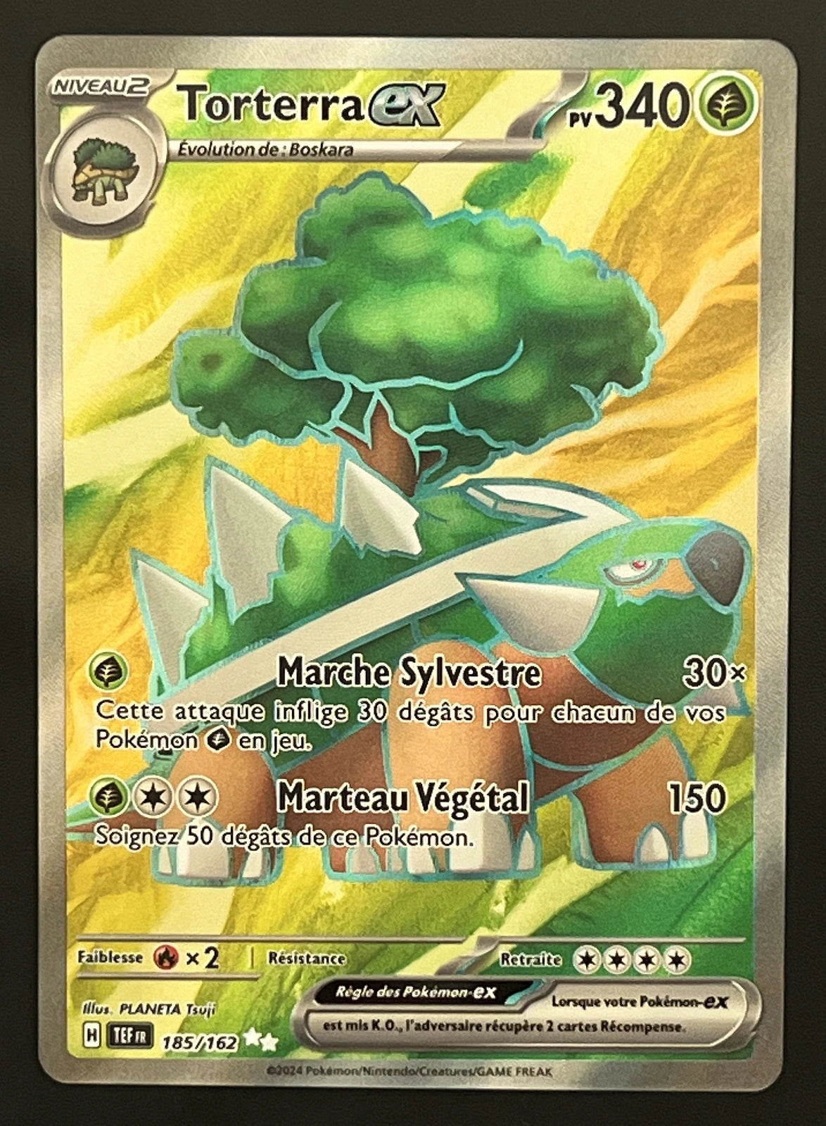 Torterra EX 185/162