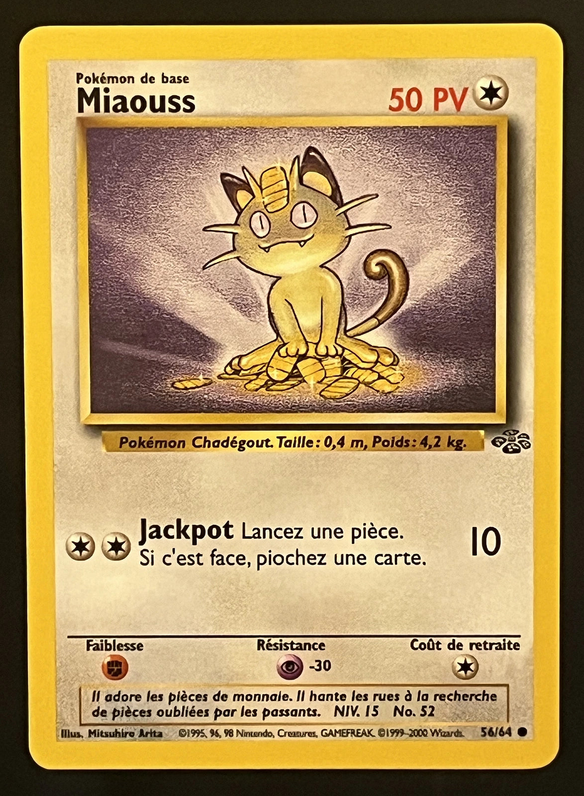 Miaouss 56/64