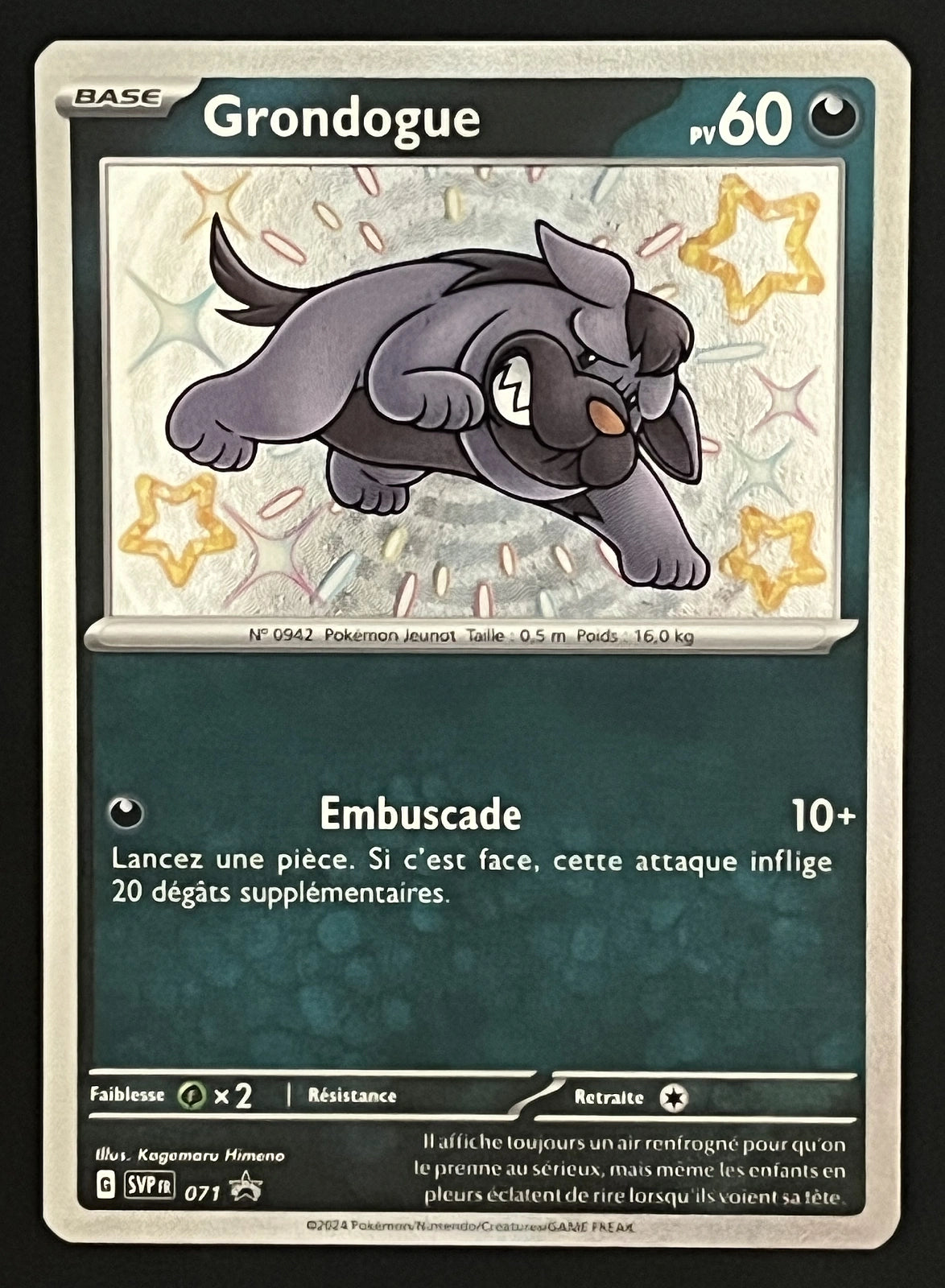Grondogue SVP071