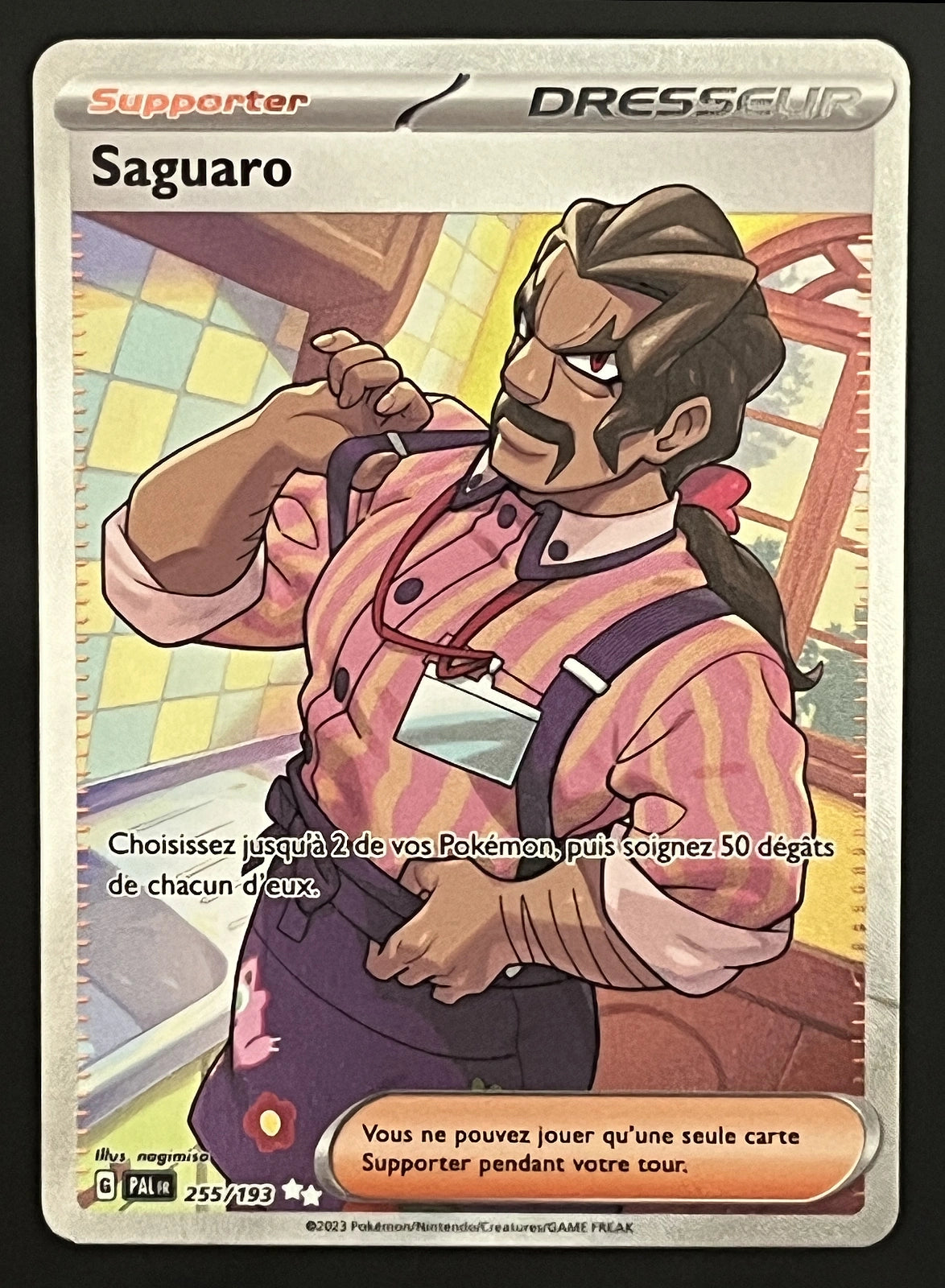 Saguaro 255/193