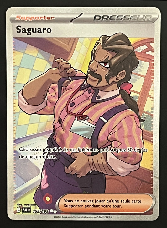 Saguaro 255/193