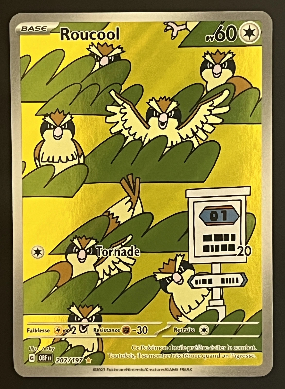 Roucool 207/197