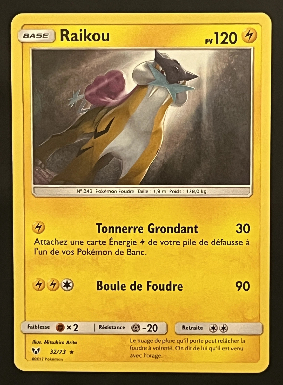Raikou 32/73