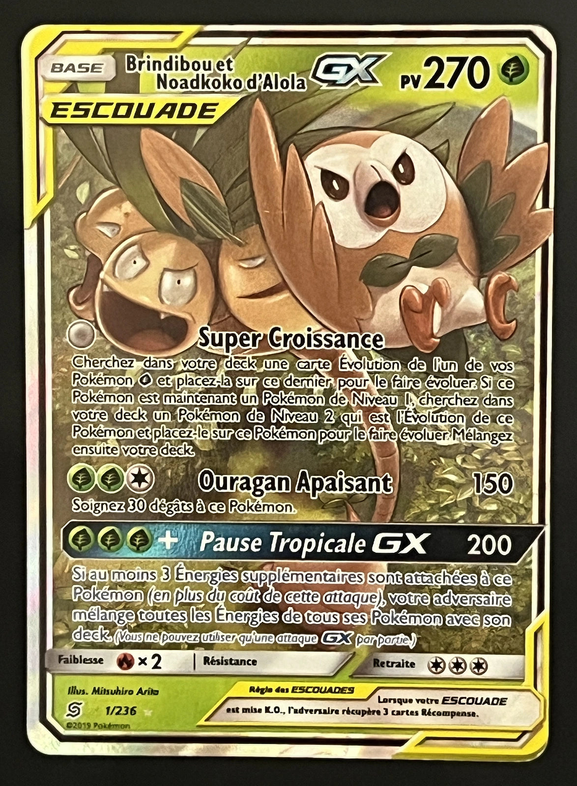 Brindibou et Noadkoko GX 1/236