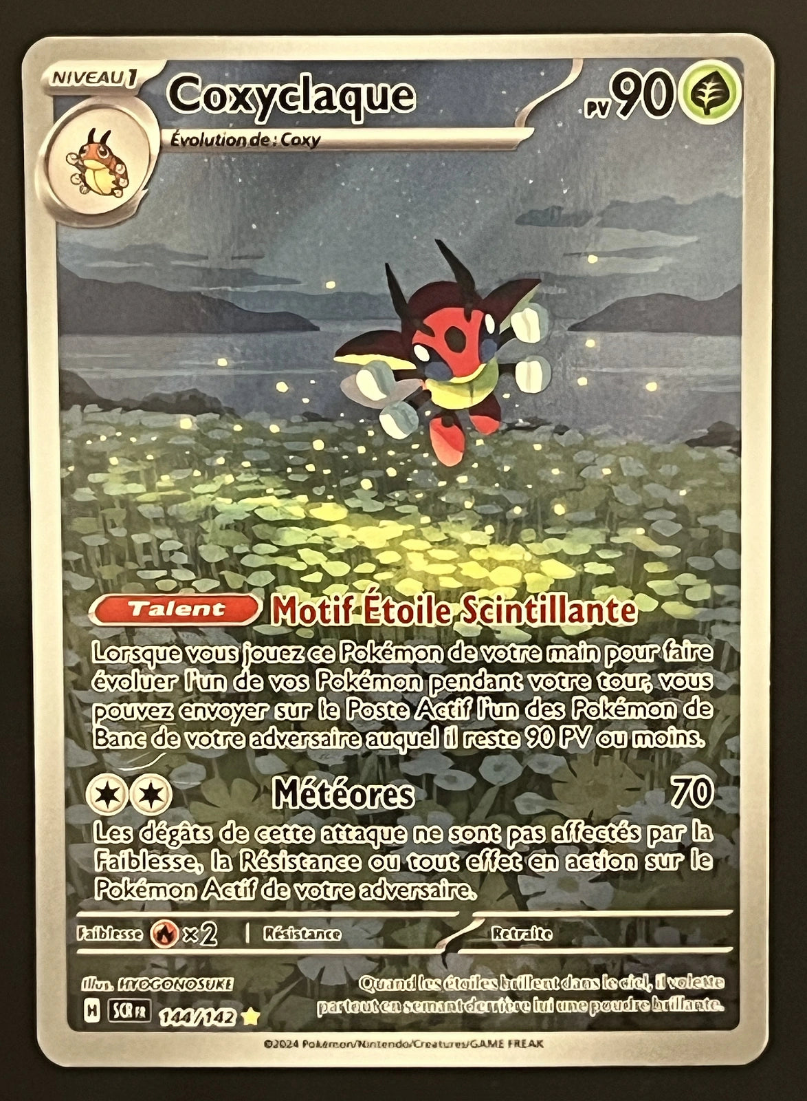 Coxyclaque 144/142