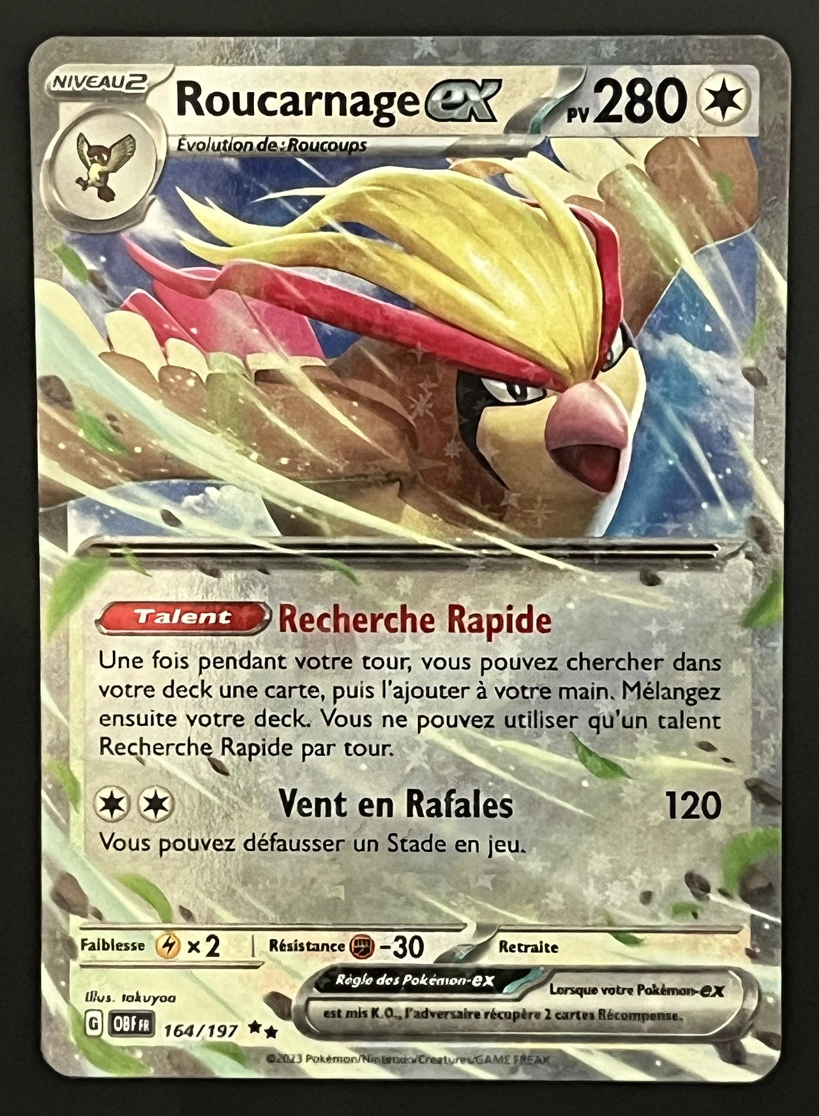 Roucarnage EX 164/197