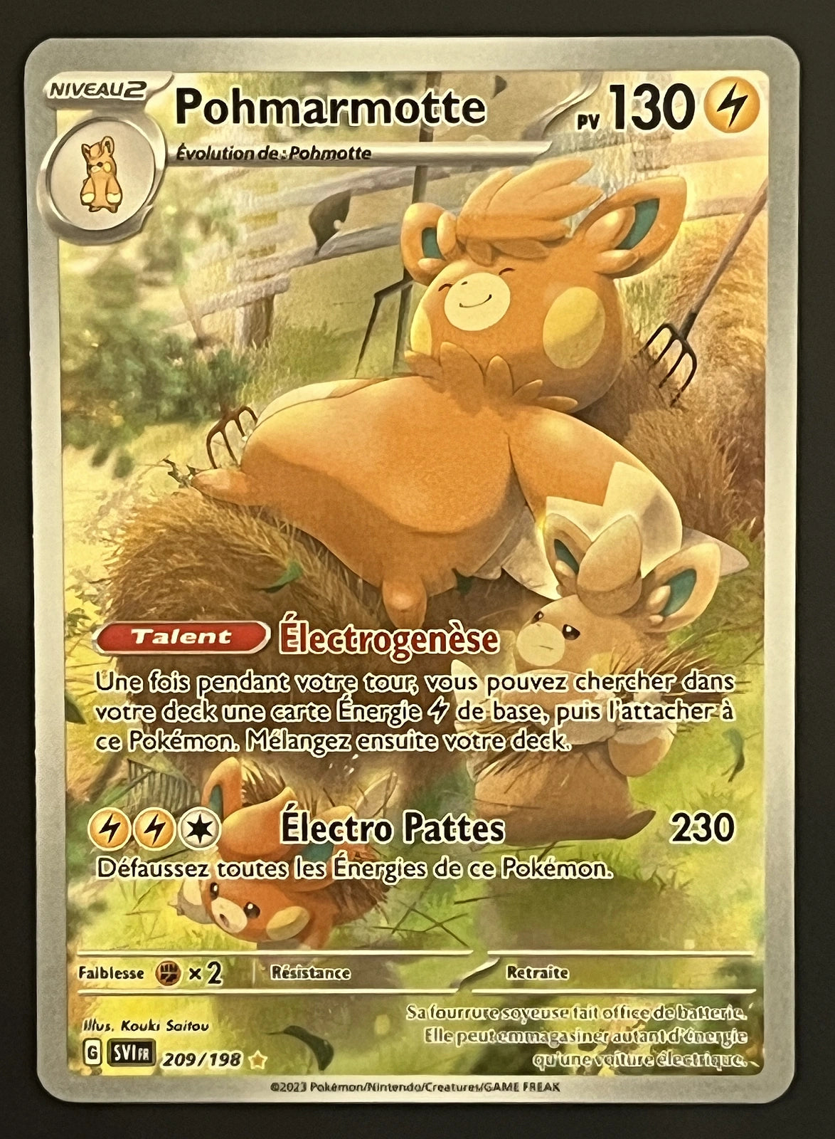 Pohmarmotte 209/198