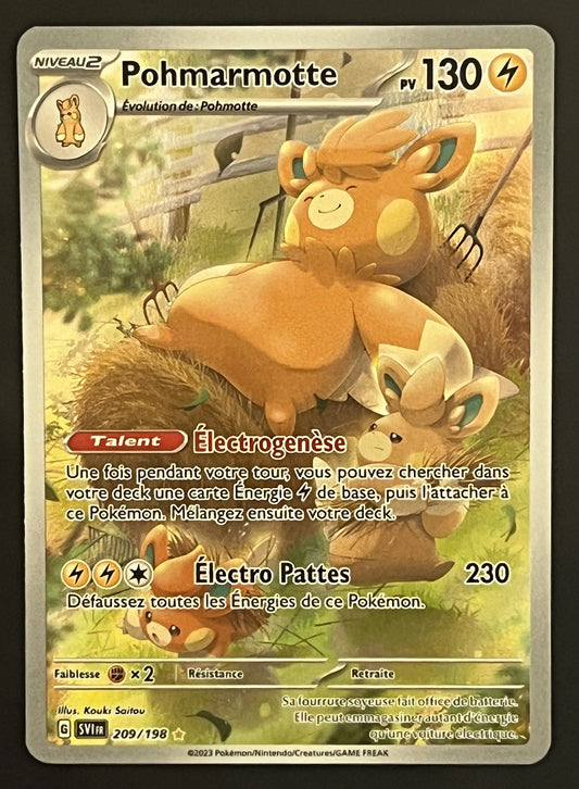 Pohmarmotte 209/198