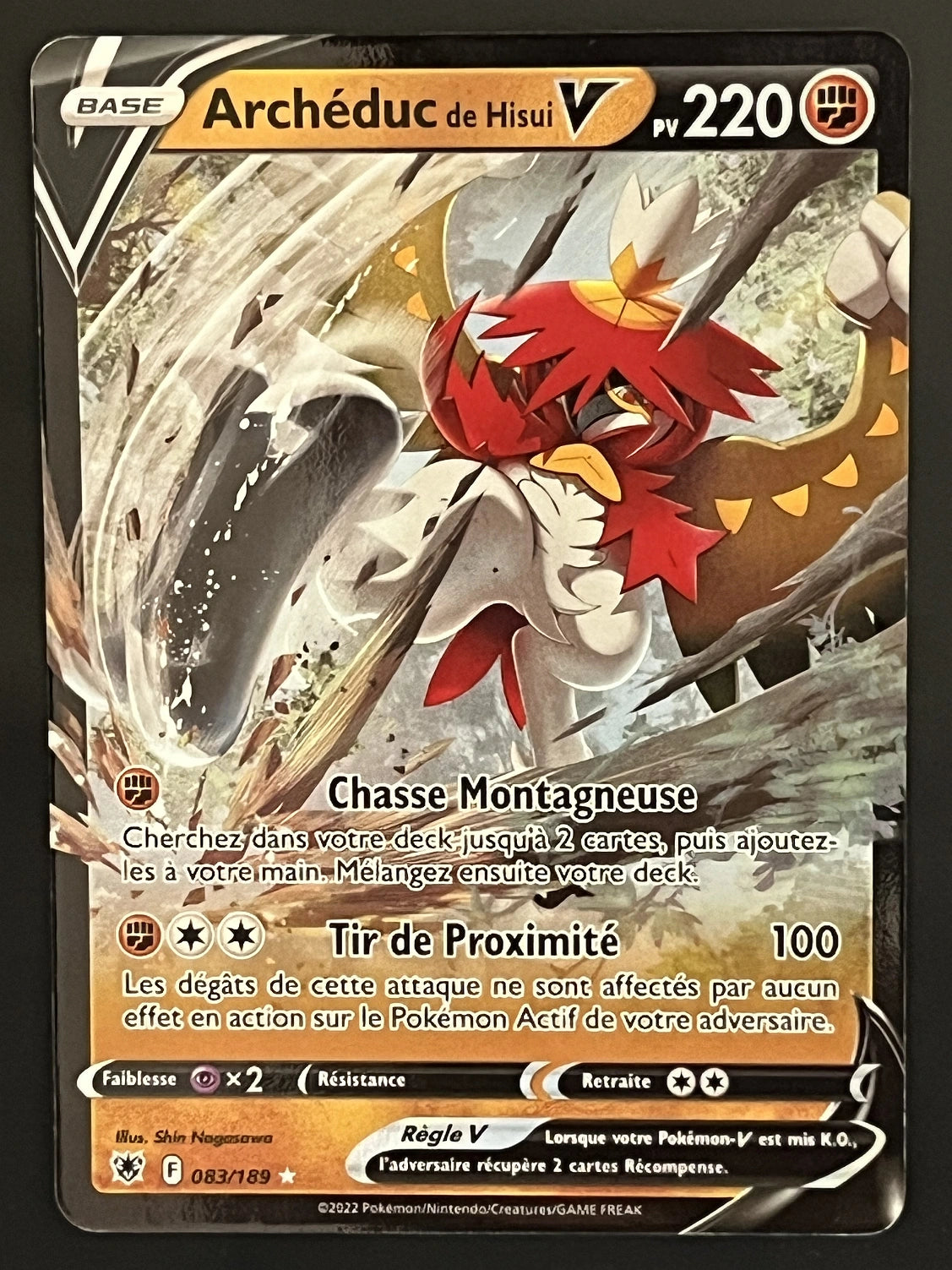 Archéduc V 083/189