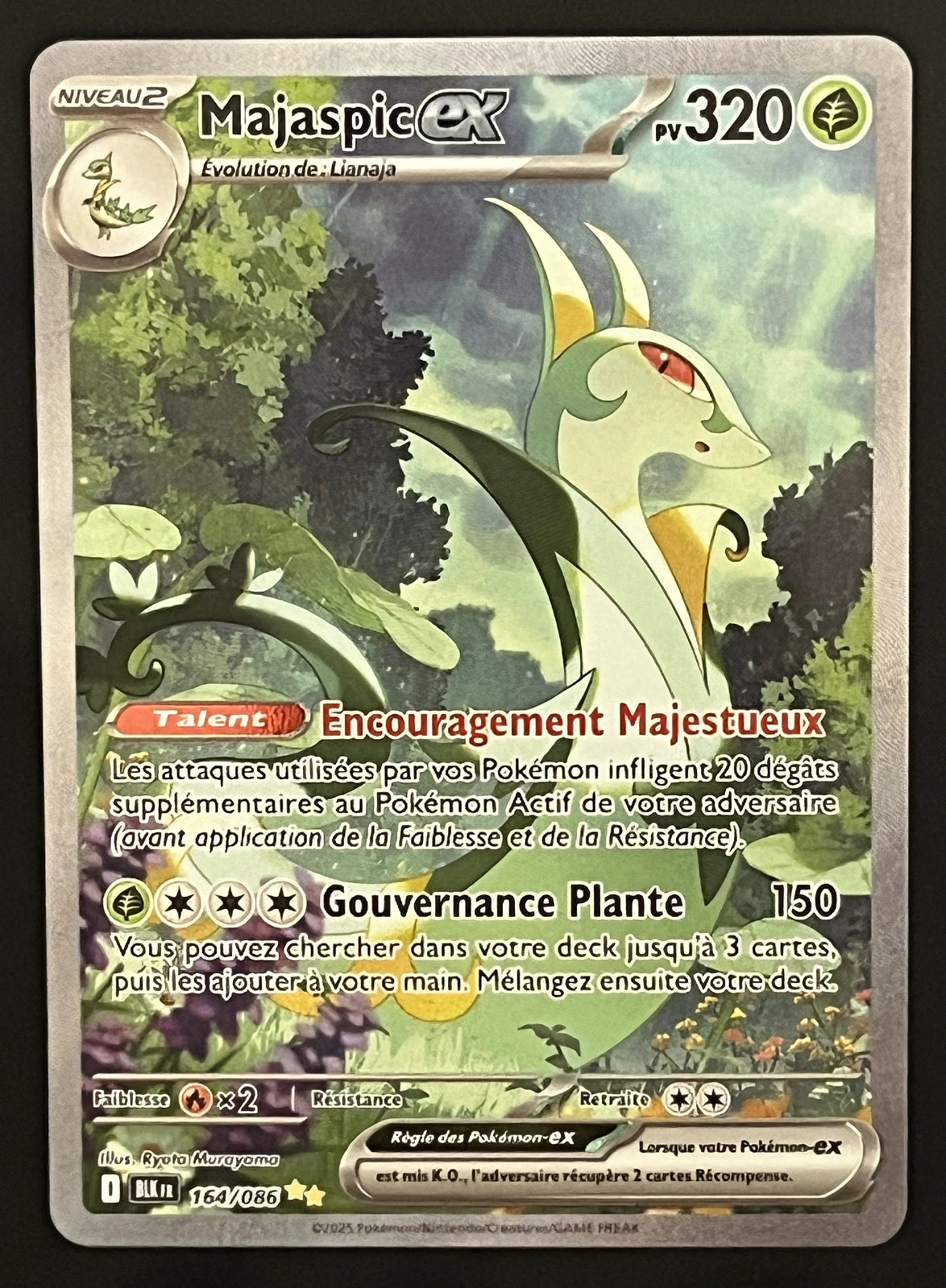 Majaspic EX 164/086