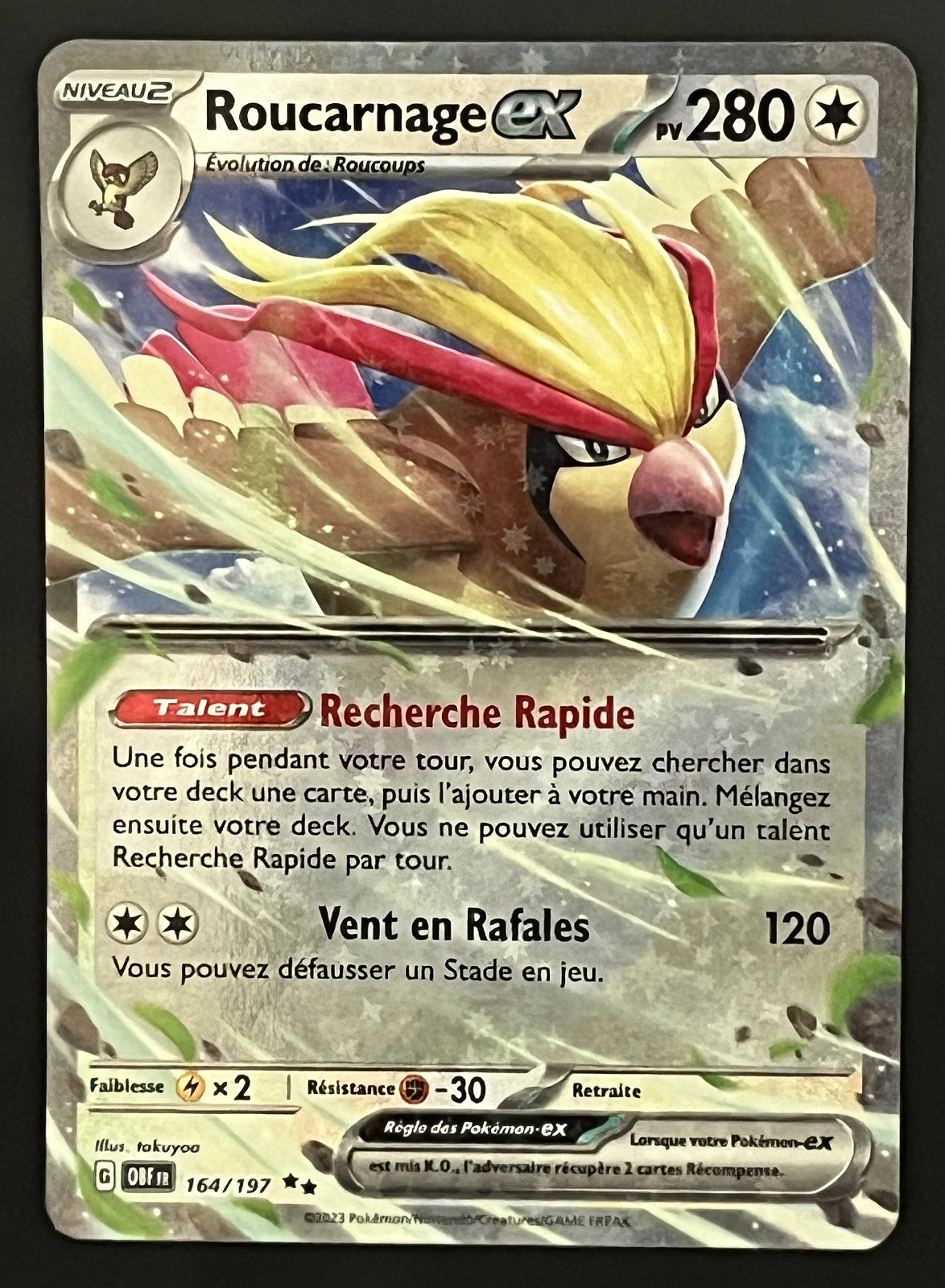 Roucarnage EX 164/197