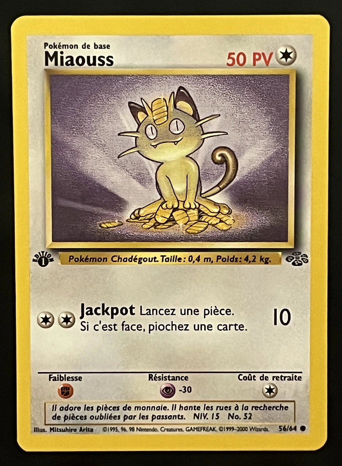 Miaouss 56/64